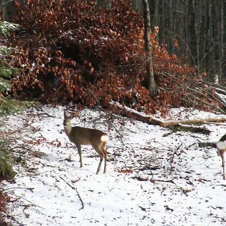 לינה וארוחת בוקר R&b Casa Benassi 3*