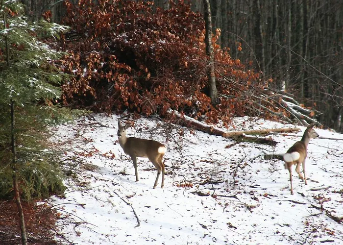 לינה וארוחת בוקר R&b Casa Benassi 3*